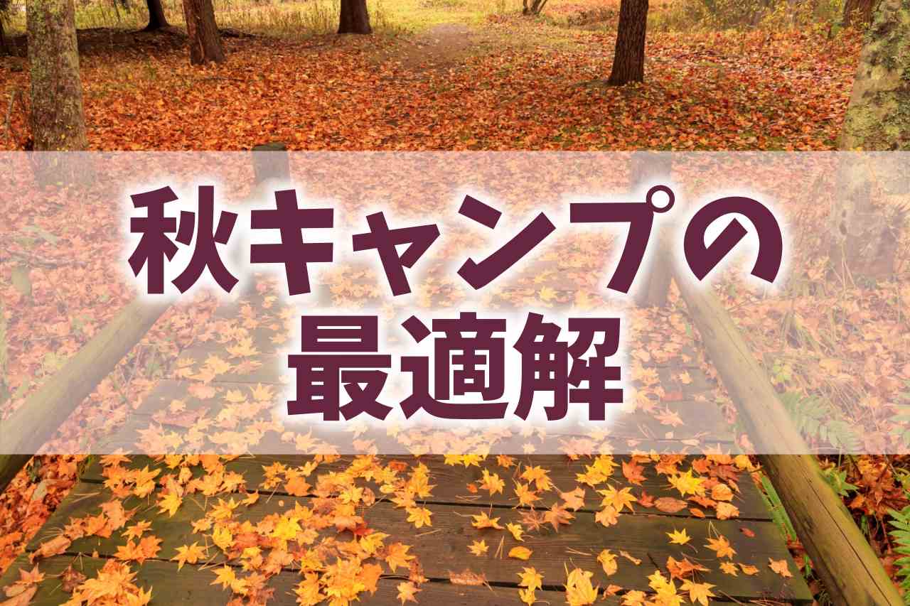 秋の紅葉が散る森林